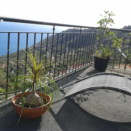 Madeira Liliana Campanário